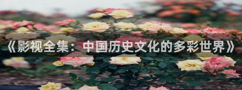 熊猫影视网站：《影视全集：中国历史文化的多彩世界》