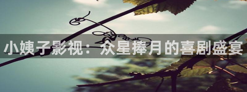 熊猫电影yy8y1免费看高清：小姨子影视：众星捧月的喜剧盛宴