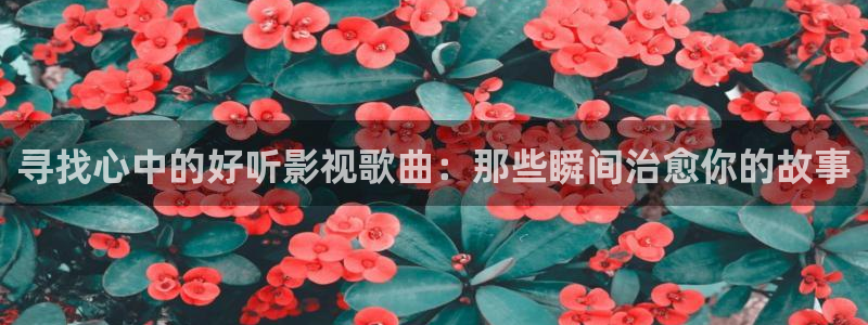 熊猫客：寻找心中的好听影视歌曲：那些瞬间治愈你的故事