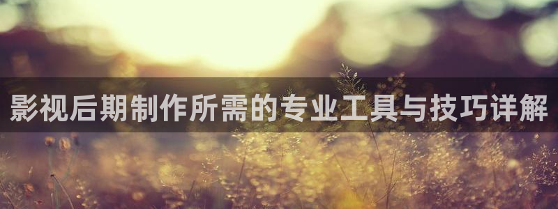 熊猫电影yy8y3免费播放：影视后期制作所需的专业工具与技巧详解