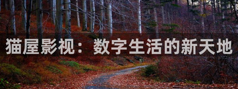 熊猫电影yy8y3(6)：猫屋影视：数字生活的新天地