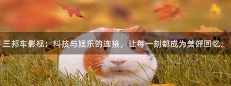 熊猫影院在线