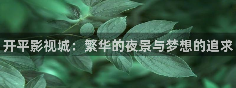 熊猫影院6.5.8：开平影视城：繁华的夜景与梦想的追求